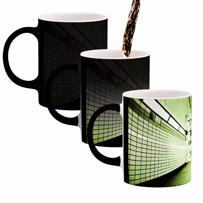 ماگ حرارتی کاکتی طرح فانتزی مدل mgh12423