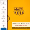 برچسب پوششی ماهوت مدل ML-BRCA مناسب برای گوشی موبایل ریلمی 8 Pro