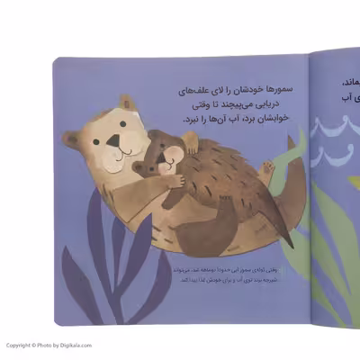 کتاب بچه های حیوانات اثر جیل مک دونالد انتشارات پرتقال