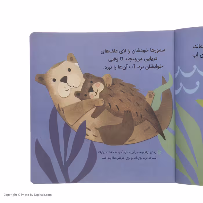 کتاب بچه های حیوانات اثر جیل مک دونالد انتشارات پرتقال