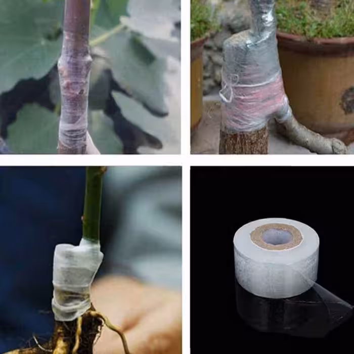 نوار پیوند مدل گلخانه ای KCO4cm طول 500 متر