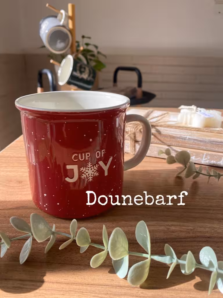 ماگ سرامیکی 6958-3