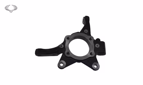 سگ دست جلو چپ سانگ یانگ تیوولی اصلی