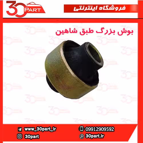 بوش بزرگ طبق شاهین