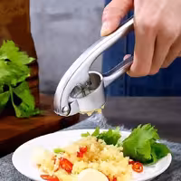 سیر له کن شنگیا