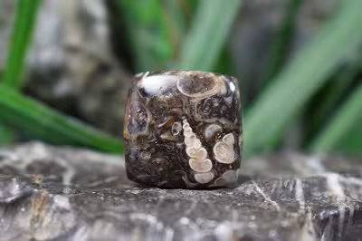 توریتلا اگات