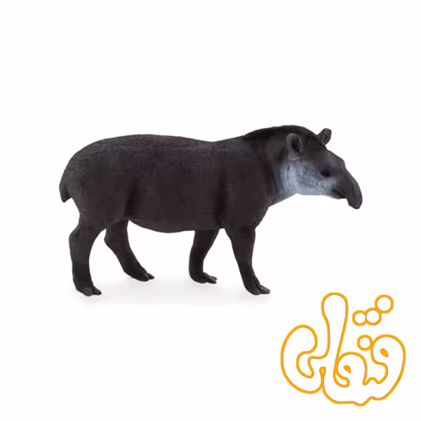 خوک خرطوم بلند برزیلی Brazilian Tapir 387178