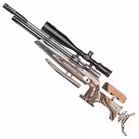 تفنگ پی سی پی ایر ارمز اف تی پی 900