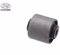 بوش بازویی سانتافه CARISO