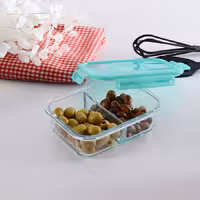 ظرف نگهدارنده پاشاباغچه درب سبز