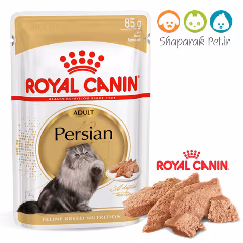 پوچ 85 گرمی گربه پرشین بالغ