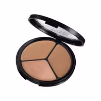 ایزادورا پودر هایلایتر سه کاره 12