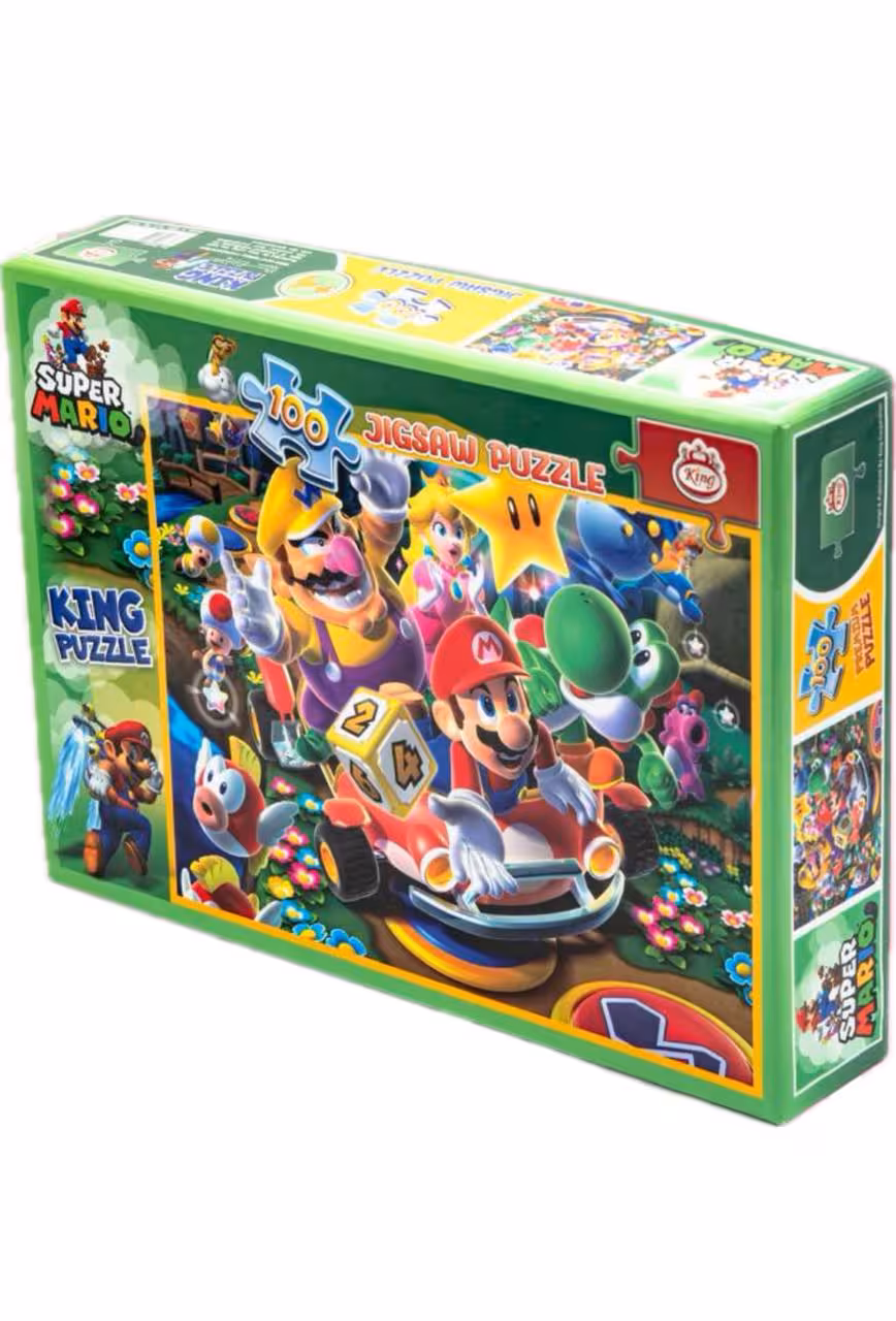 پازل 100 قطعه اریو