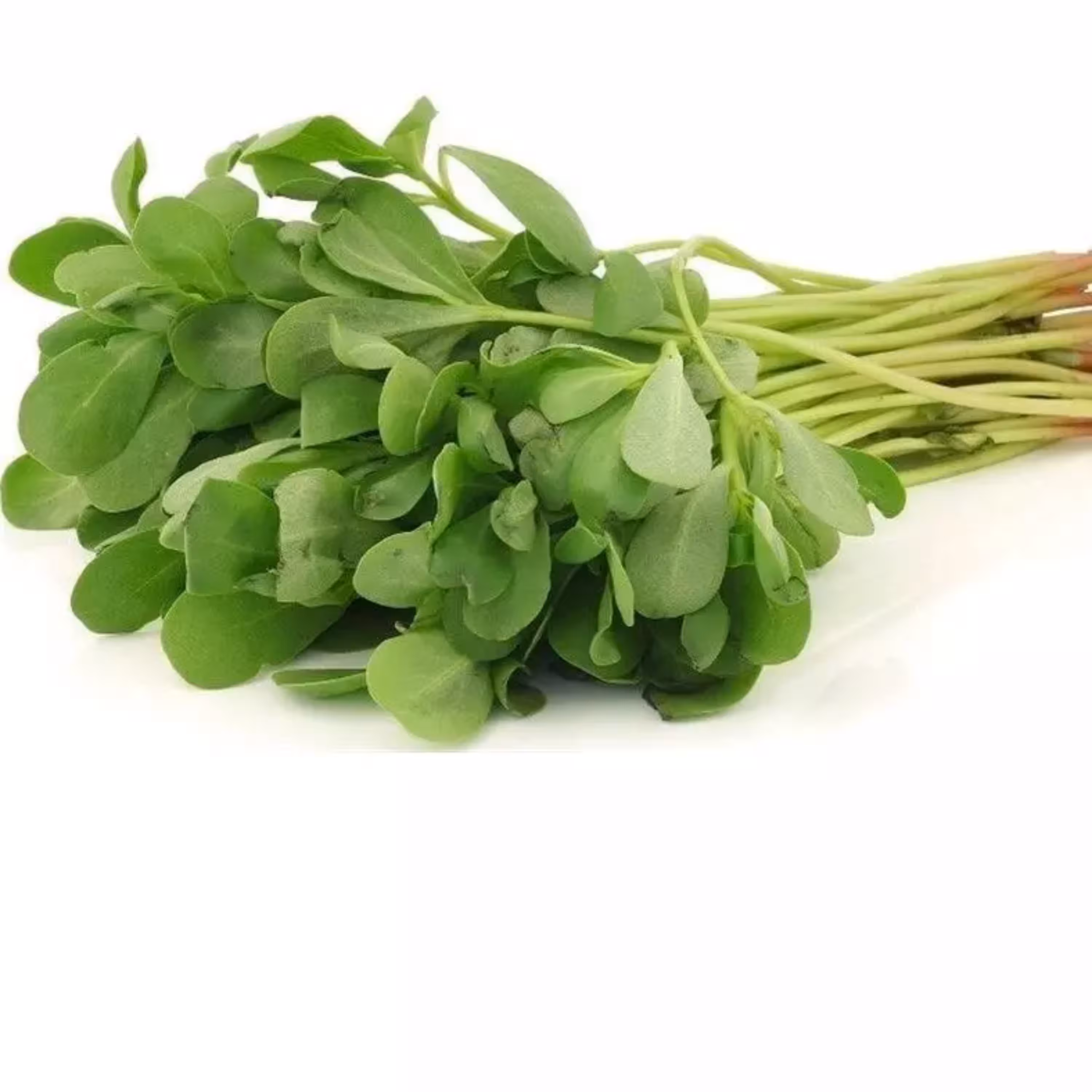برگ تازه خرفه
