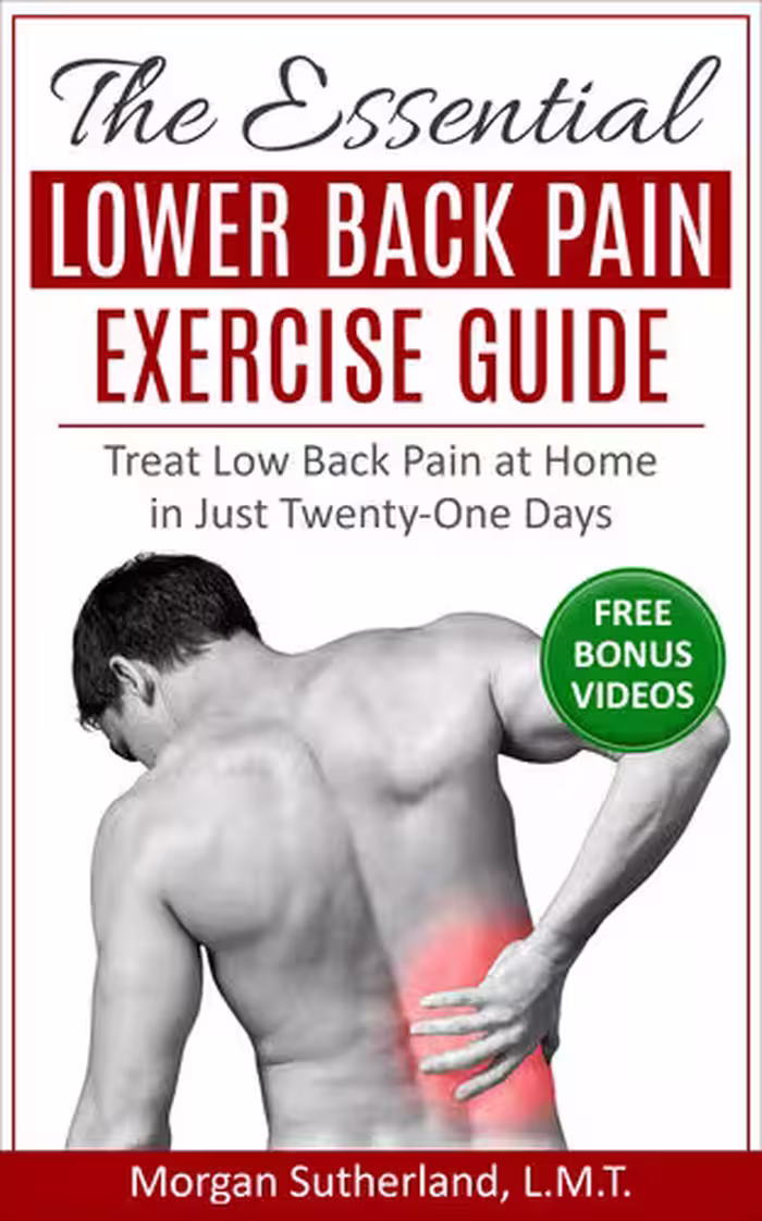 خرید و دانلود نسخه کامل کتاب The Essential Lower Back Pain Exercise Guide: Treat Low Back Pain at Home in Just Twenty-One Days