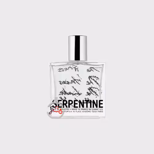 عطر ادکلن کام دی گارکونس سرپنتاین | comme des garcons serpentine