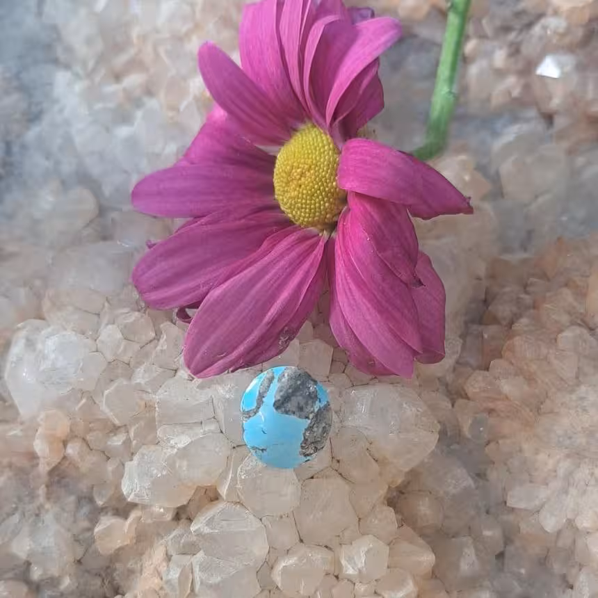 نگین فیروزه کد 527