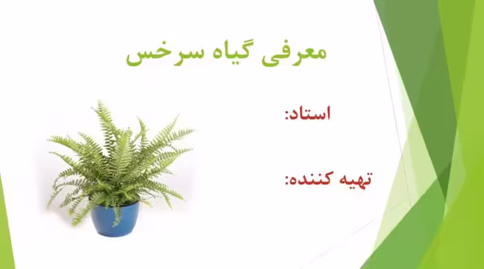 پاورپوینت گیاه سرخس (بررسی ریشه، ساقه و…)