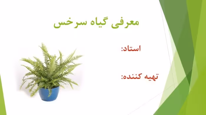 پاورپوینت گیاه سرخس (بررسی ریشه، ساقه و…)