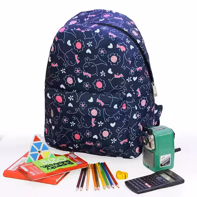 کوله پشتی مدل DZX-150001