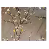 سرویس ملحفه مدل گل یخ یک نفره دو تکه