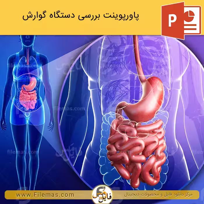 پاورپوینت دستگاه گوارش انسان