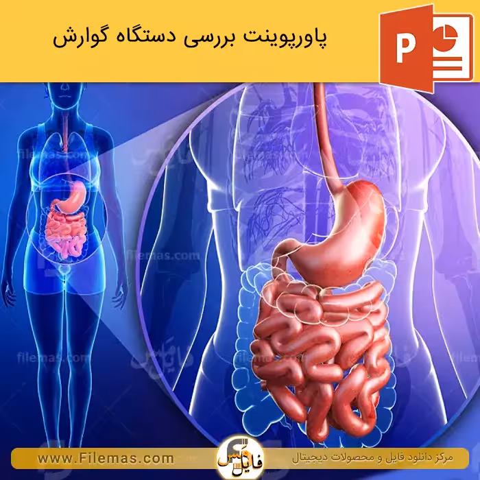 پاورپوینت دستگاه گوارش انسان