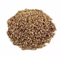 بذر درخت سیب عباسی