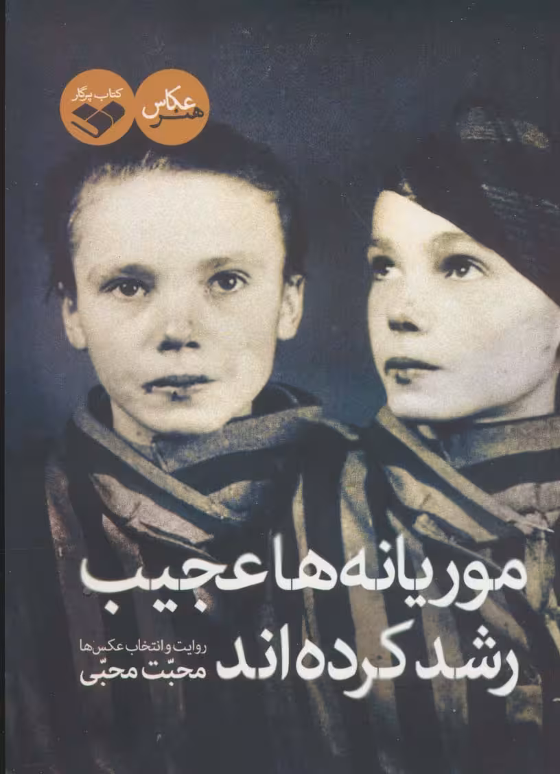 موریانه ها عجیب رشد کرده اند (گلاسه) - ناشربوک | خرید آنلاین کتاب