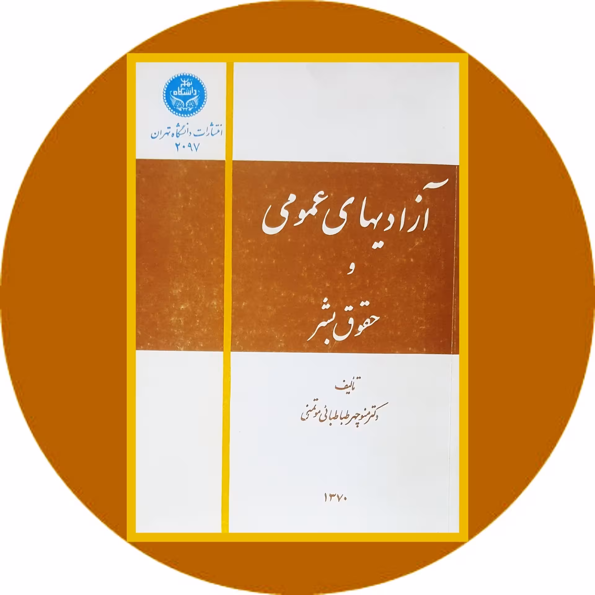 کتاب آزادیهای عمومی و حقوق بشر - خرید با تخفیف چهل درصد از کتاب دایره قهوه ای -