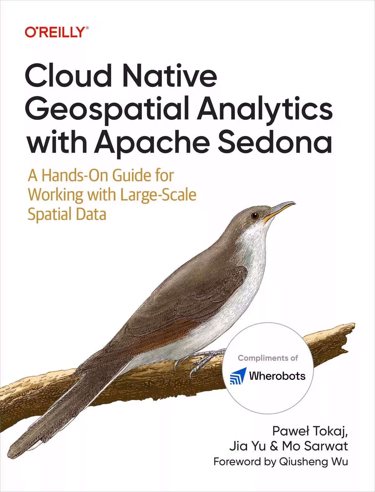 کتاب Cloud Native Geospatial Analytics with Apache Sedona