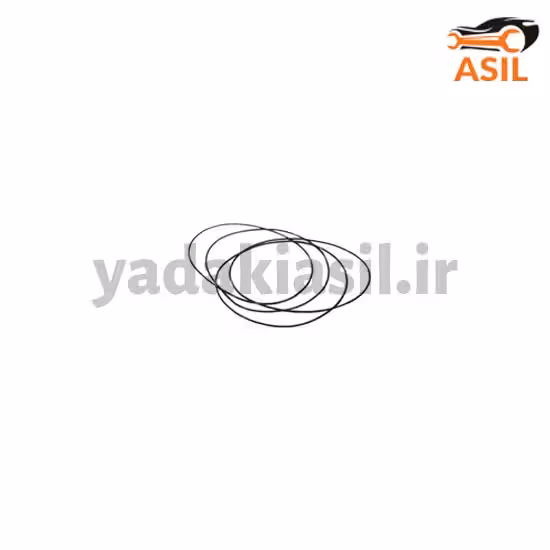 اورینگ بوش و پیستون 206 MEMA
