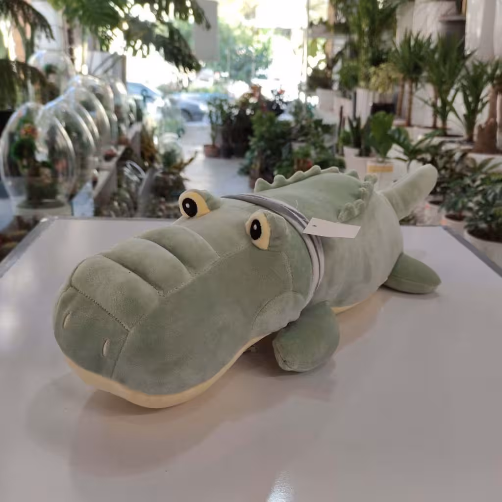 عروسک کروکودیل در ارومیه و آذربایجان غربی