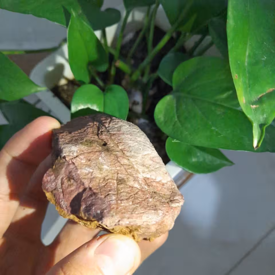 سنگ جاسپر قرمز با رگه های عقیق سفید 300 گرم