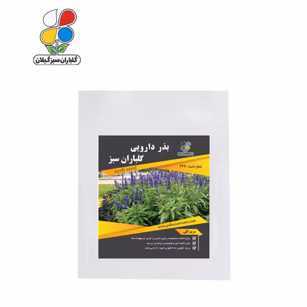 بذر مریم گلی ( بسته 24 عددی )