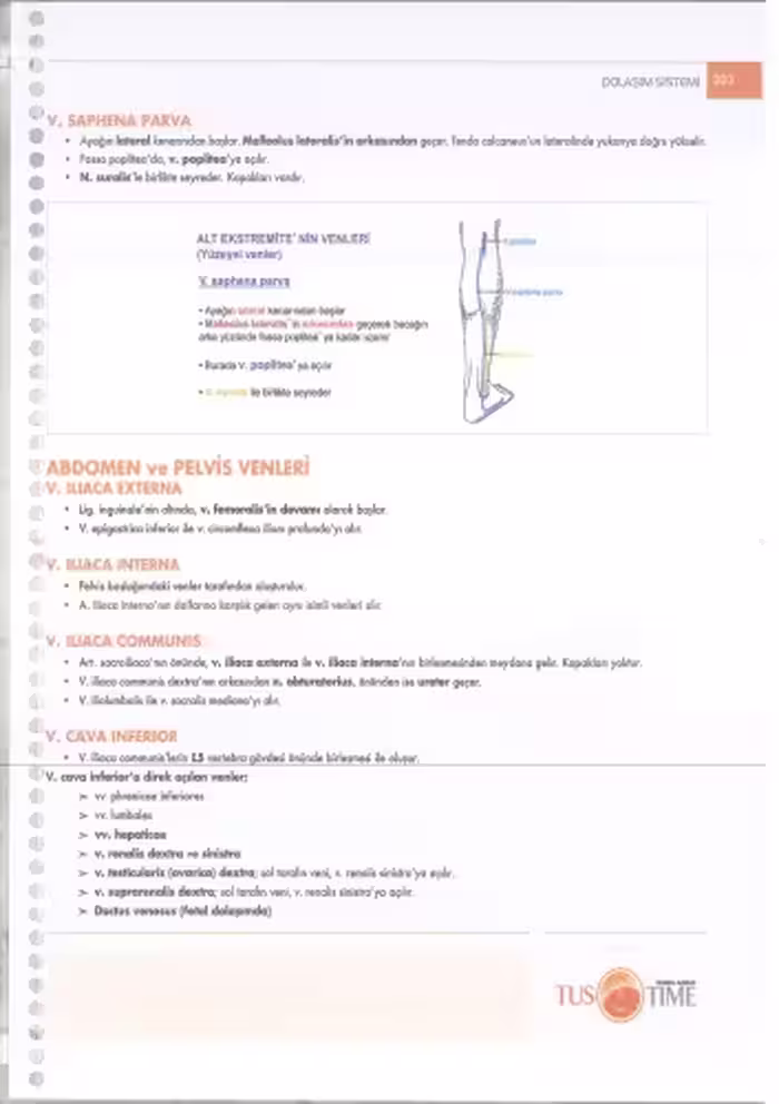 خرید و دانلود نسخه کامل کتاب İnfotus Anatomi Konu Kitabı