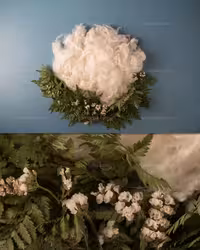 بک دراپ عکاسی نوزاد رویایی | گرافیک با طعم تربچه