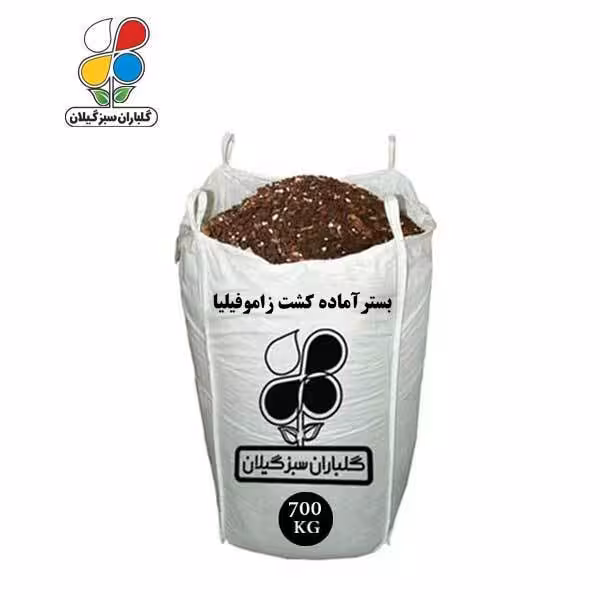 بستر آماده کشت زاموفیلیا فله 700 کیلویی