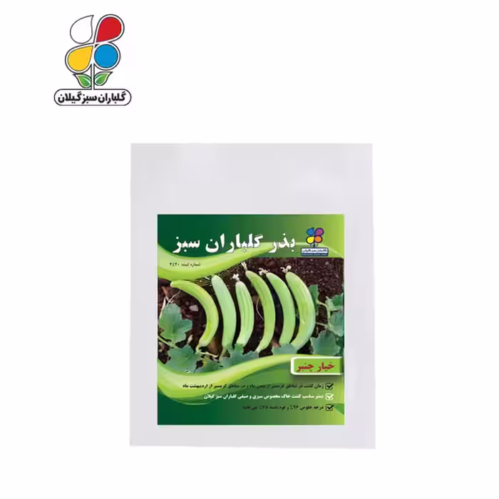 بذر خیار چنبر بسته بندی بزرگ ( بسته 24 عددی )