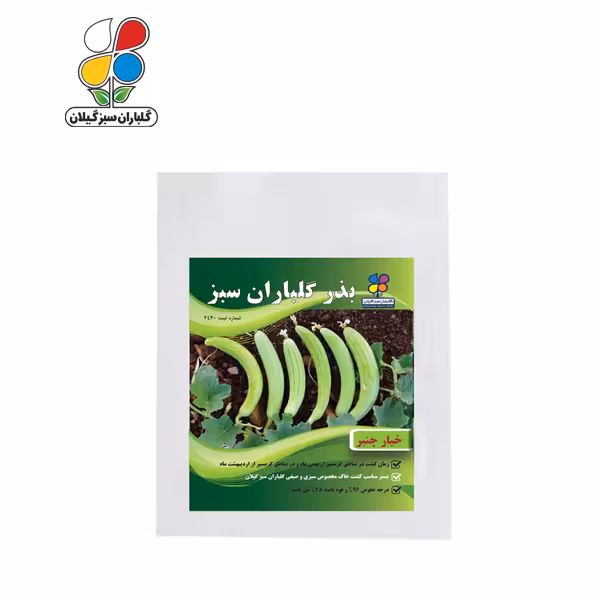 بذر خیار چنبر بسته بندی بزرگ ( بسته 24 عددی )