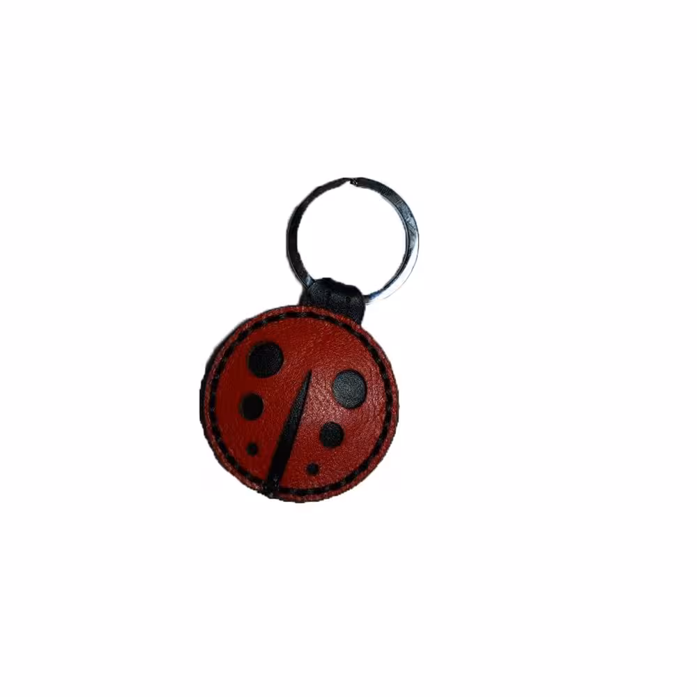 جاسوئیچی طرح کفشدوزک