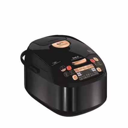 مولتی کوکر تفال مدل RK9018