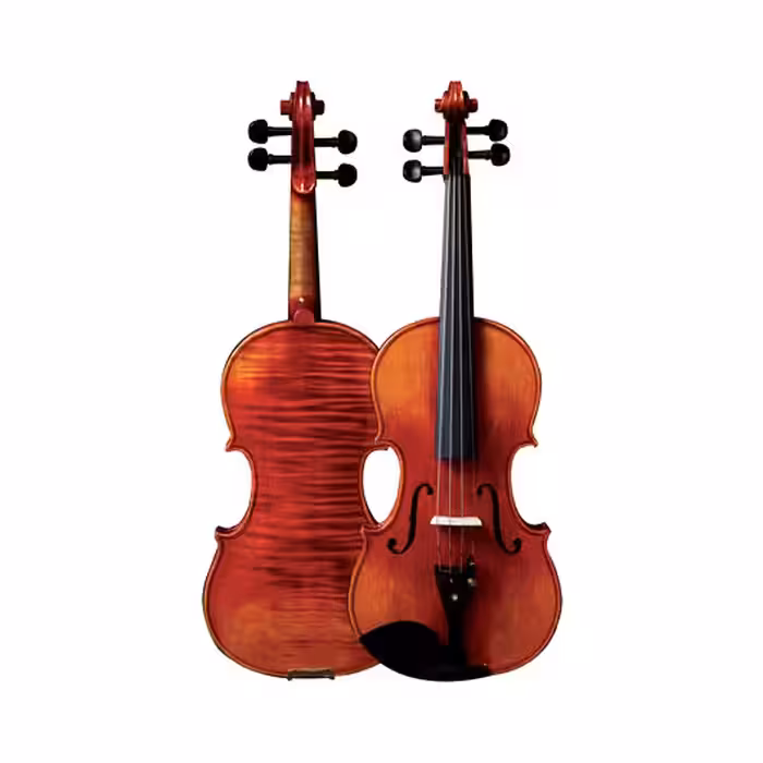ویولن فونیکس مدل VT 101PHOENIX Model VT101 Violin