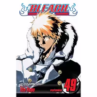 Bleach v49