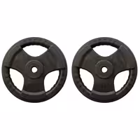 وزنه هالتر فرمانی خانگی 10 کیلویی دو عددی | کالا مکس