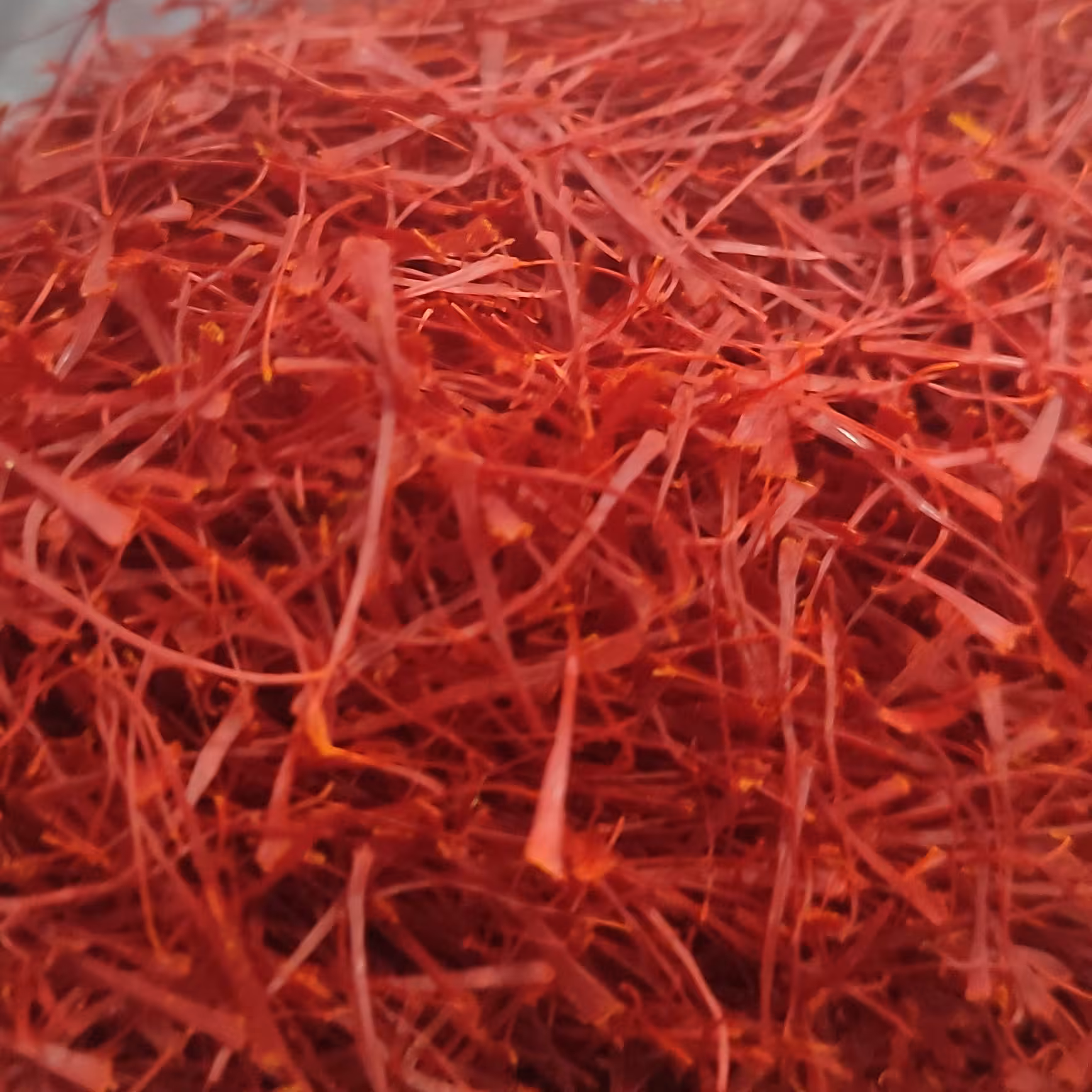 زعفران ( یک گرمی)