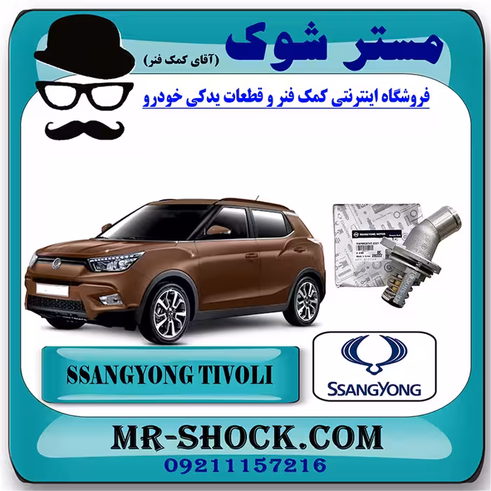ترموستات سانگ یانگ تیوولی 2015-2018 برند اصلی سانگ یانگ موتور با تضمین اصالت
