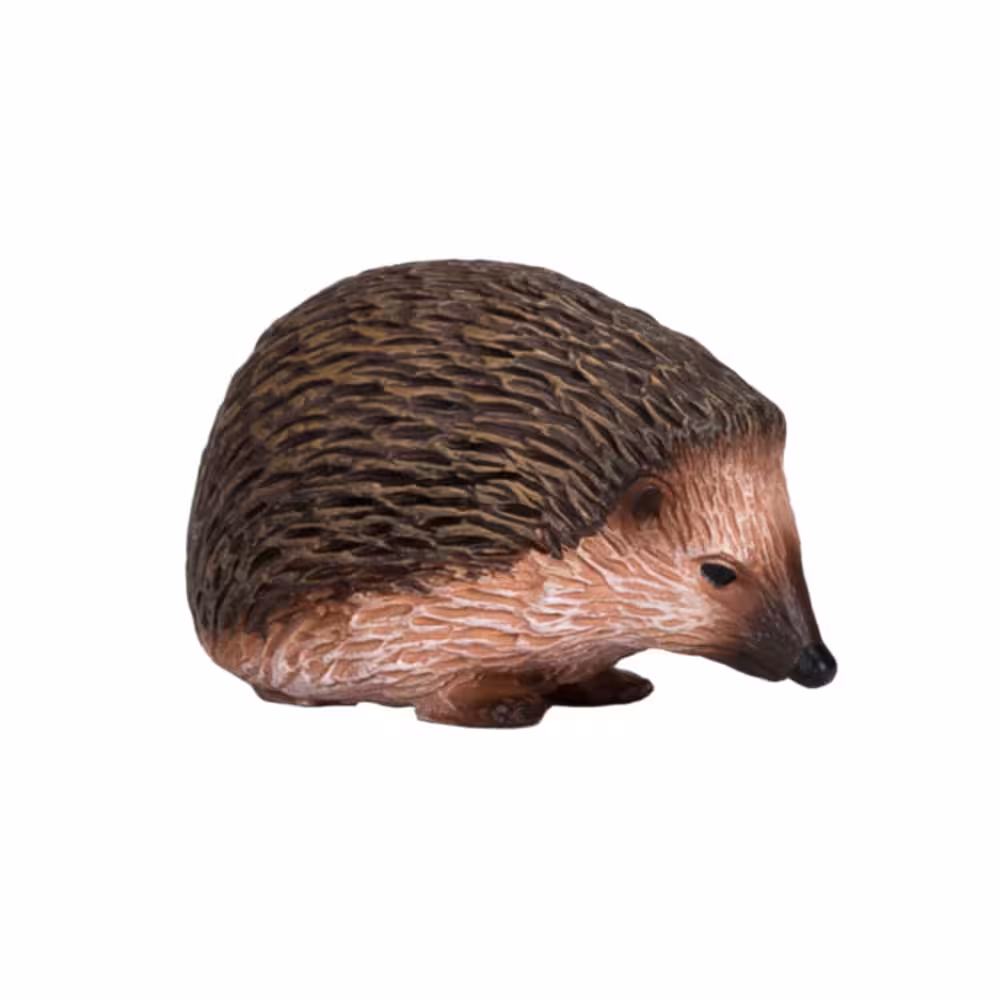 خرید فیگور جوجه تیغی Hedgehog mojo