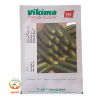 بذر خیار بت آلفا ویکیما 25 گرمی Beith Alpha VIKIMA