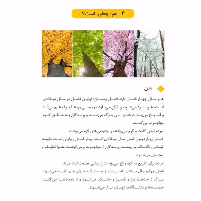 کتاب به فارسی بگو اثر دکتر الشیماء أشیبان انتشارات دولت علم